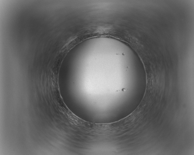 X0000062601158200601040906