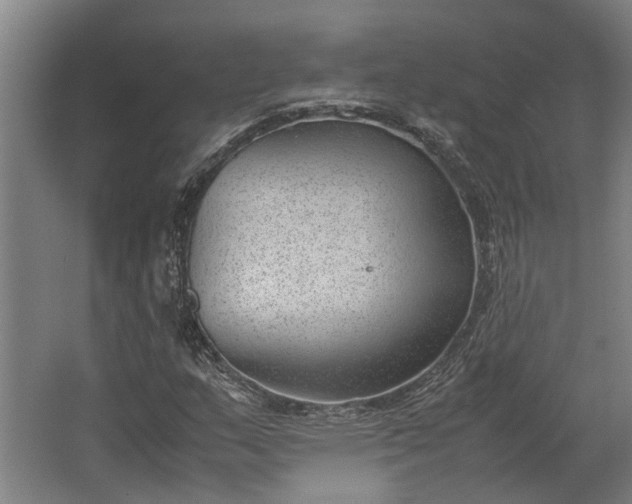 X0000062601159200601040906