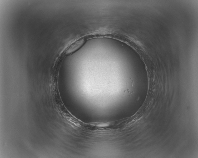 X0000062601160200601040906