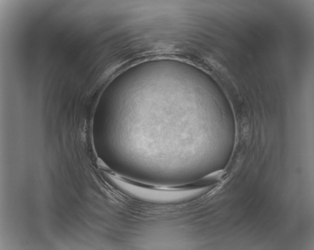 X0000062601161200601040906