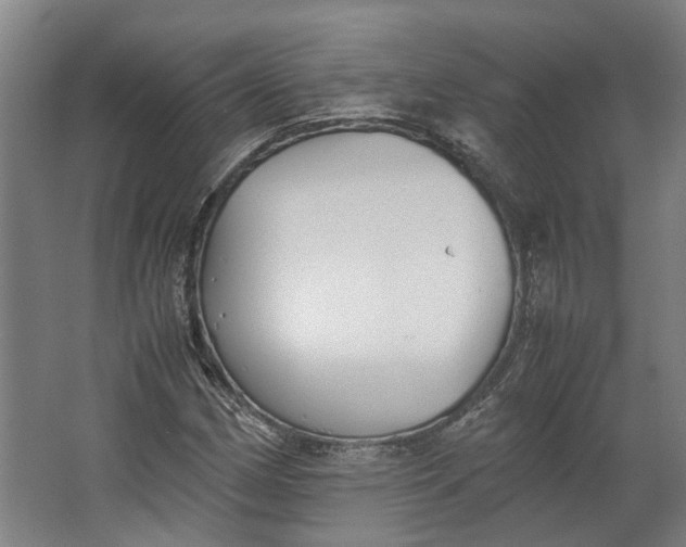 X0000062601162200601040906