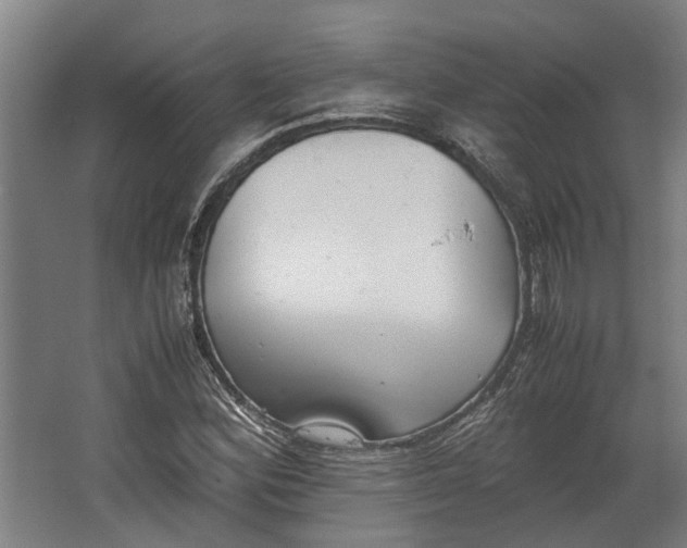 X0000062601164200601040906