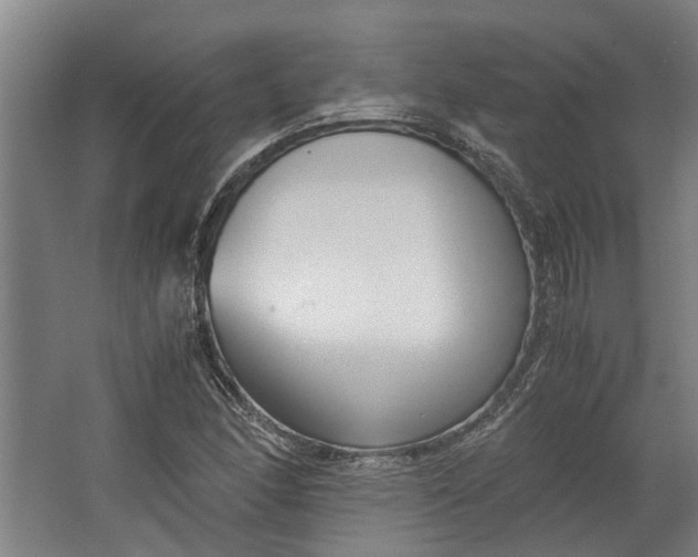 X0000062601166200601040906