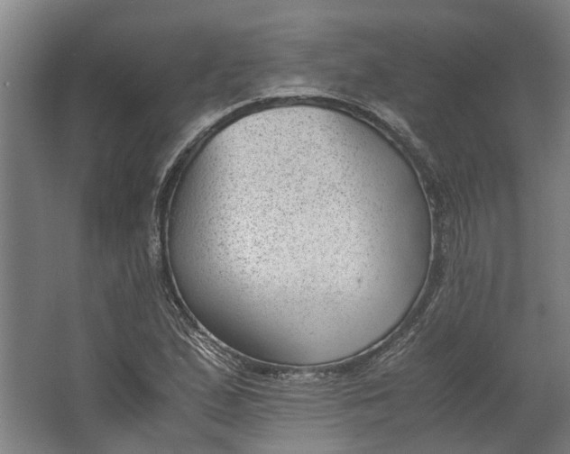 X0000062601167200601040906