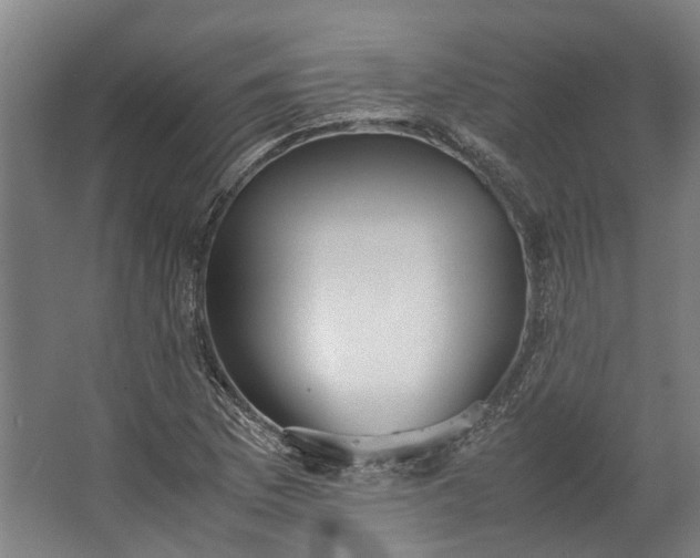 X0000062601169200601040906