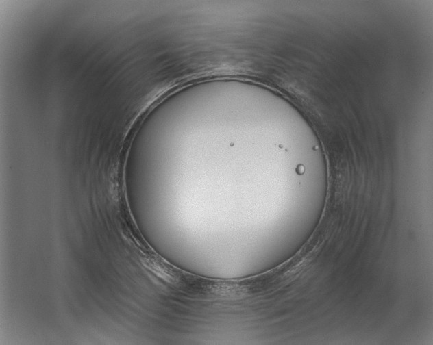 X0000062601170200601040906