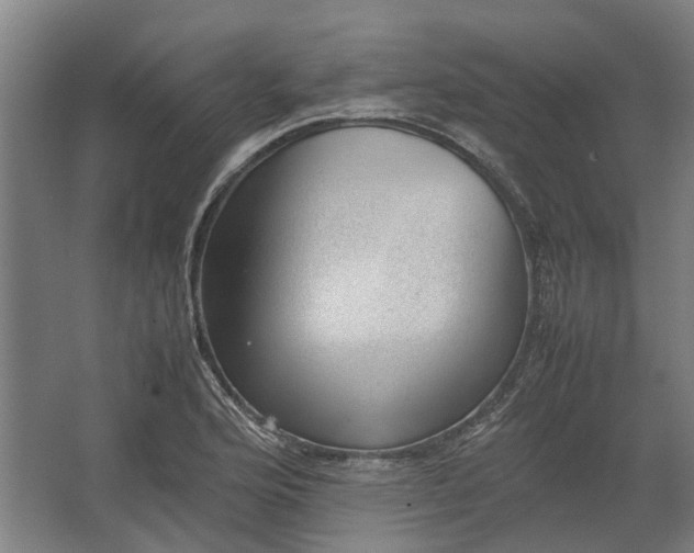 X0000062601176200601040906