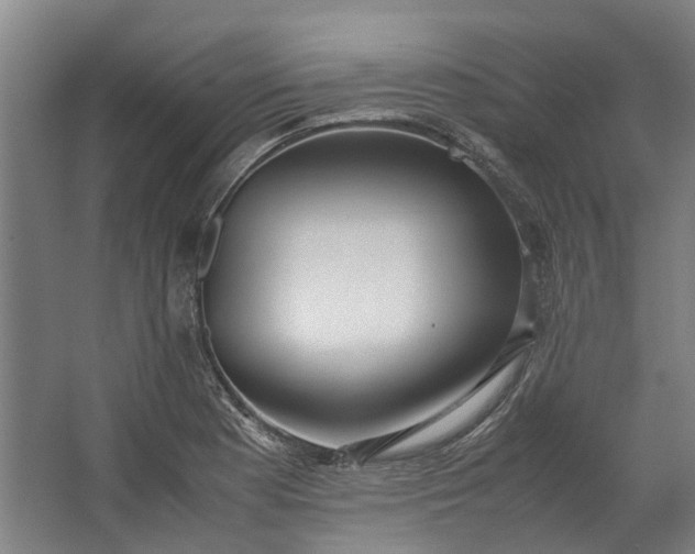 X0000062601177200601040906