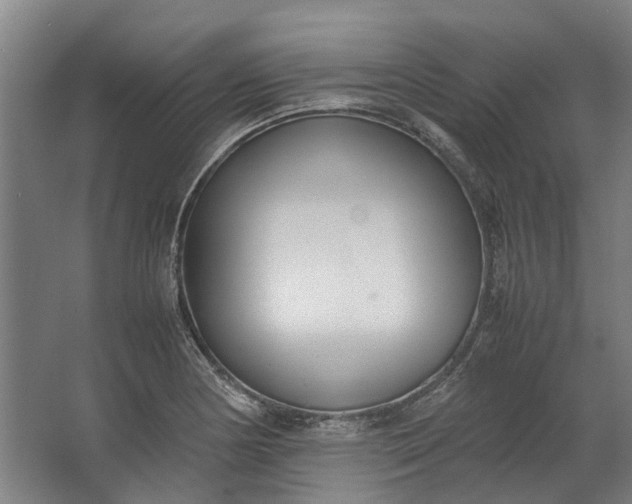 X0000062601178200601040906