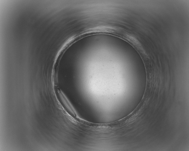 X0000062601180200601040906