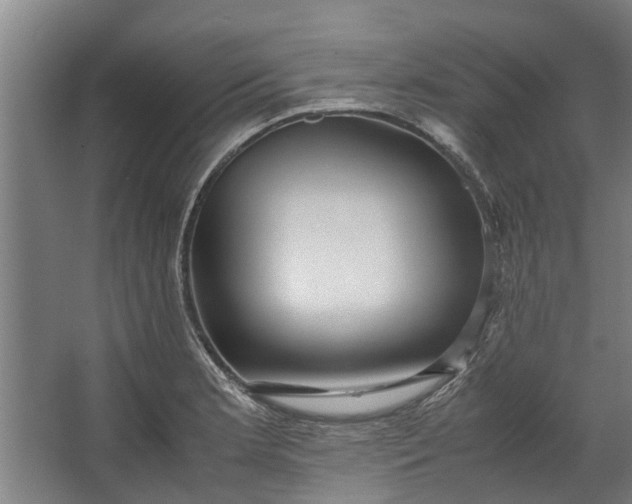 X0000062601181200601040906