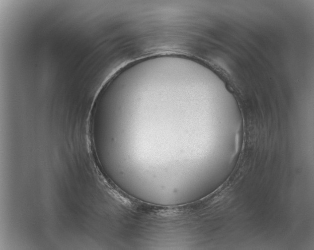 X0000062601182200601040905