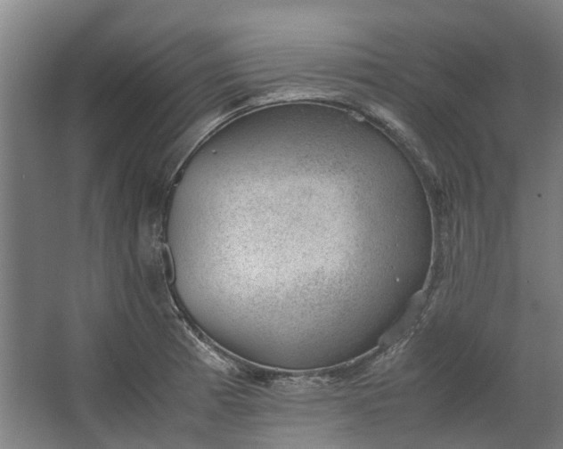 X0000062601185200601040905