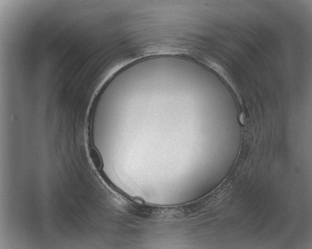 X0000062601187200601040905