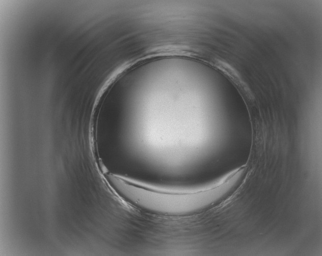 X0000062601188200601040905