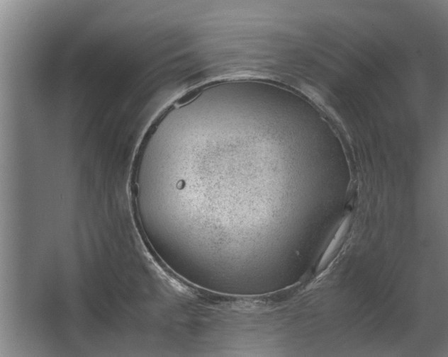 X0000062601189200601040905