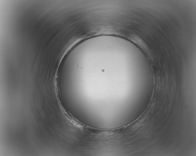 X0000062601190200601040905