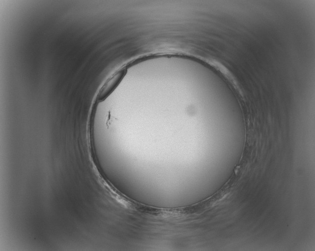 X0000062601191200601040905