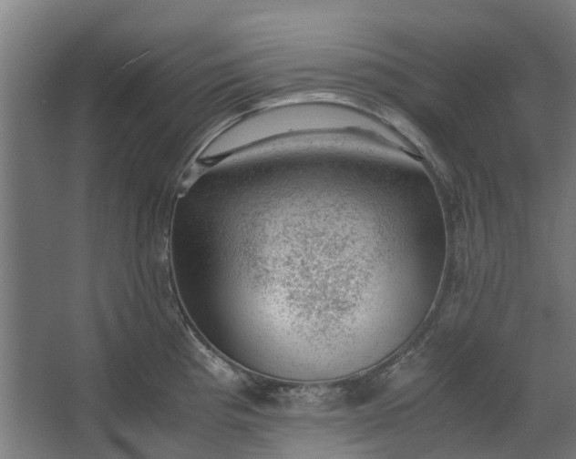 X0000062601193200601040905