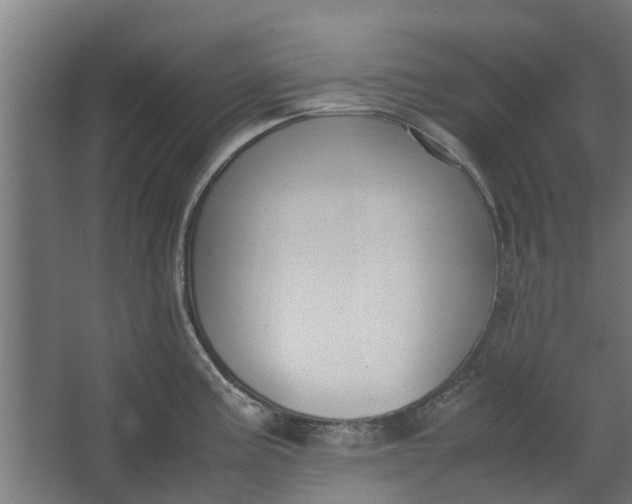 X0000062601195200601040905