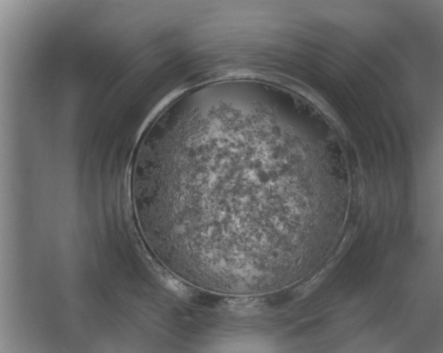 X0000062601198200601040905