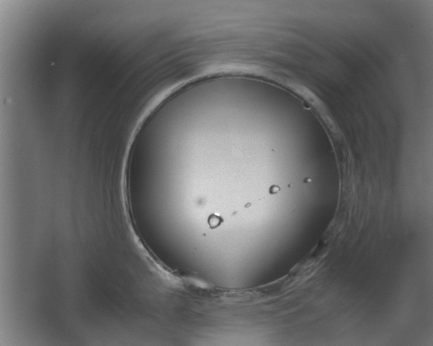 X0000062601199200601040905