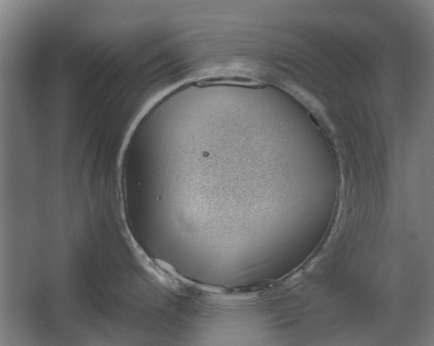 X0000062601200200601040905