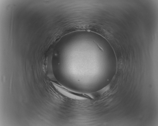 X0000062601202200601040904