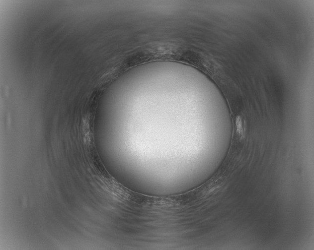 X0000062601203200601040904