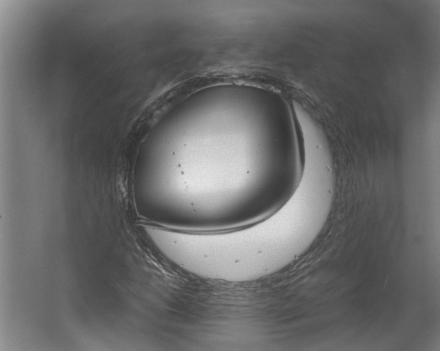 X0000062601206200601040904