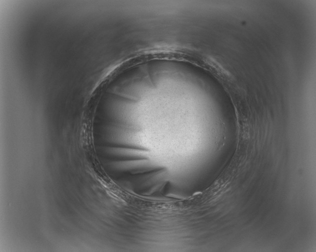 X0000062601208200601040905