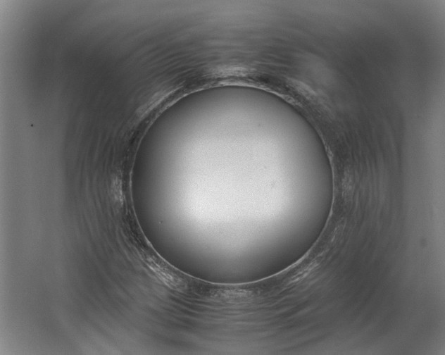 X0000062601209200601040905