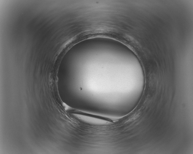 X0000062601210200601040905