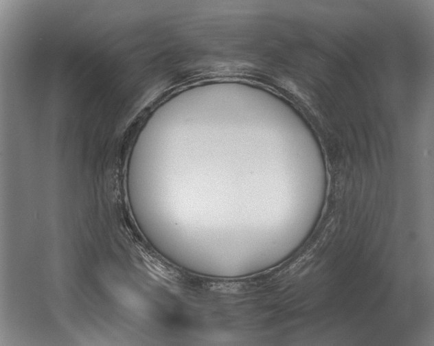 X0000062601211200601040905