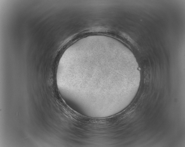 X0000062601213200601040905