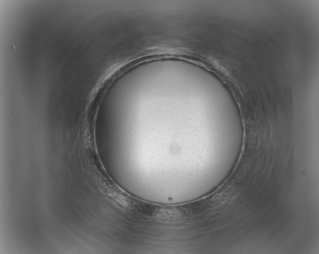 X0000062601215200601040905