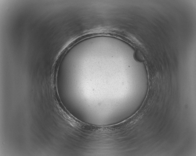 X0000062601216200601040905