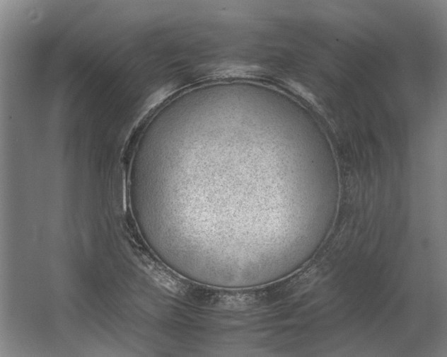 X0000062601219200601040905