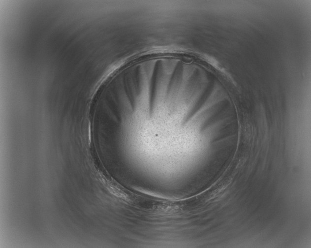 X0000062601221200601040905