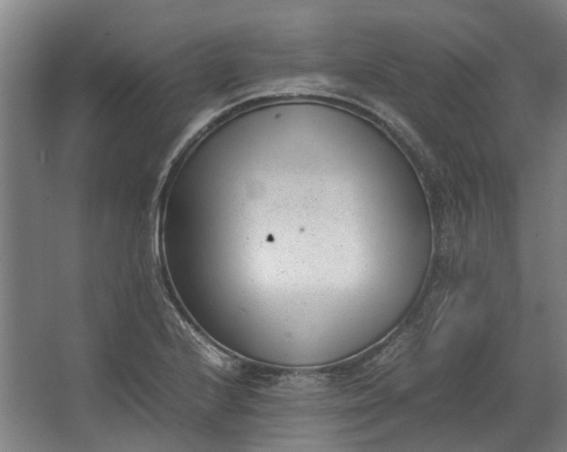 X0000062601224200601040905