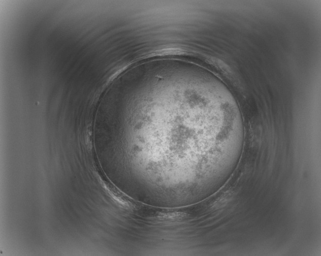 X0000062601225200601040905