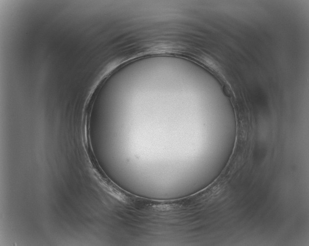 X0000062601227200601040905