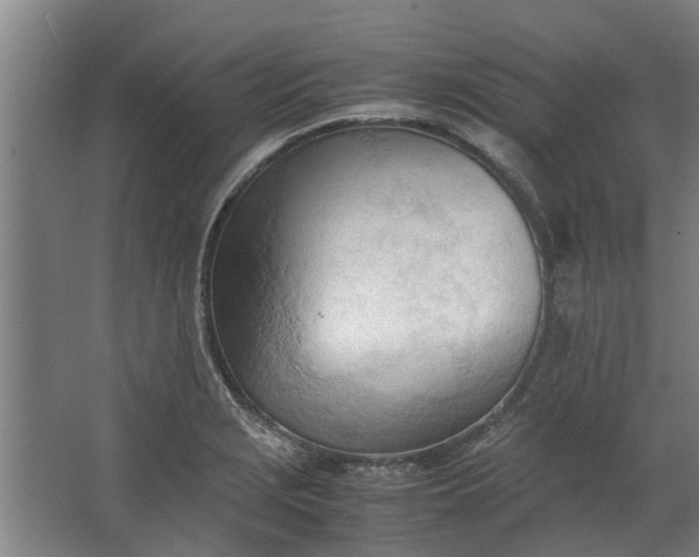 X0000062601229200601040905