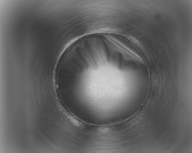 X0000062601230200601040905