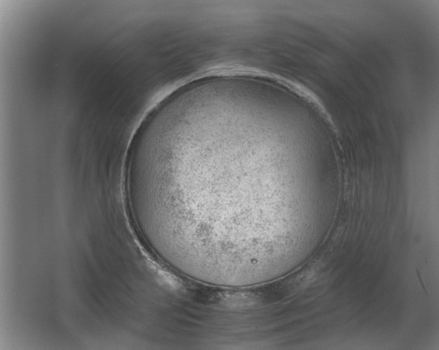 X0000062601231200601040905