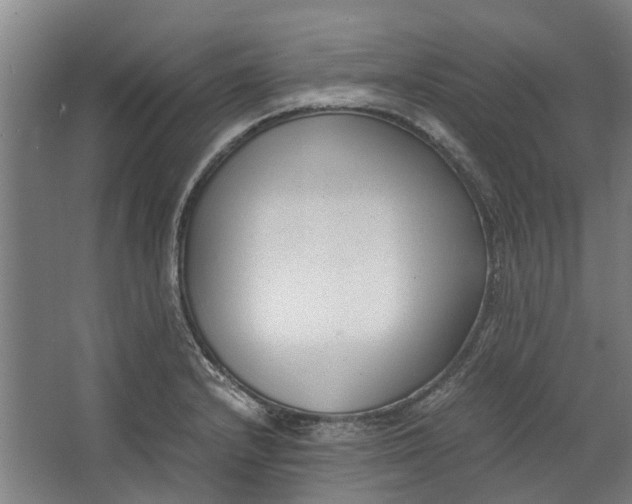 X0000062601232200601040905