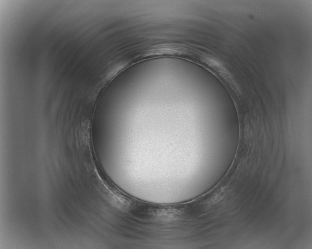 X0000062601233200601040905