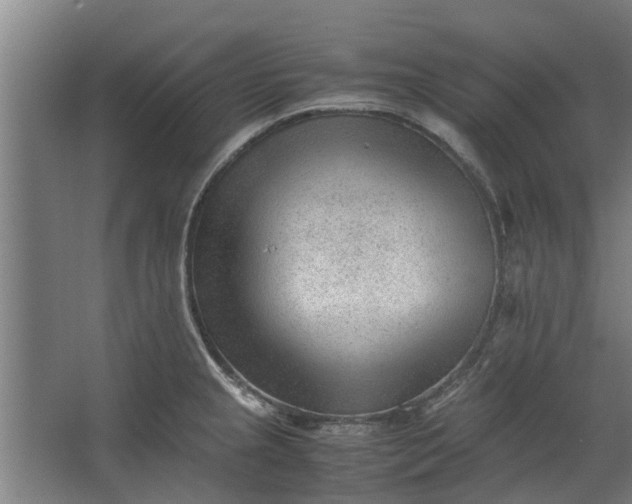 X0000062601237200601040905