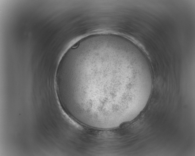 X0000062601239200601040905