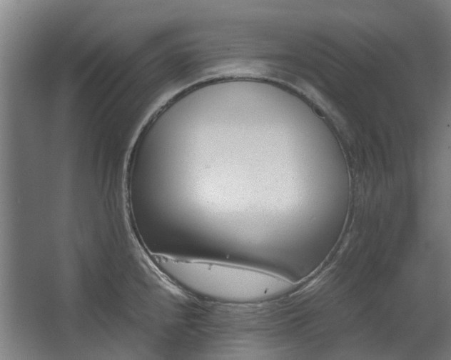 X0000062601240200601040905